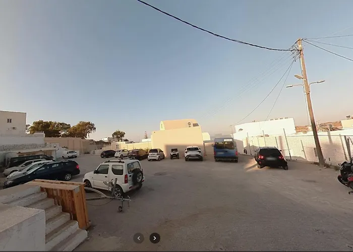 White Orchid Boutique